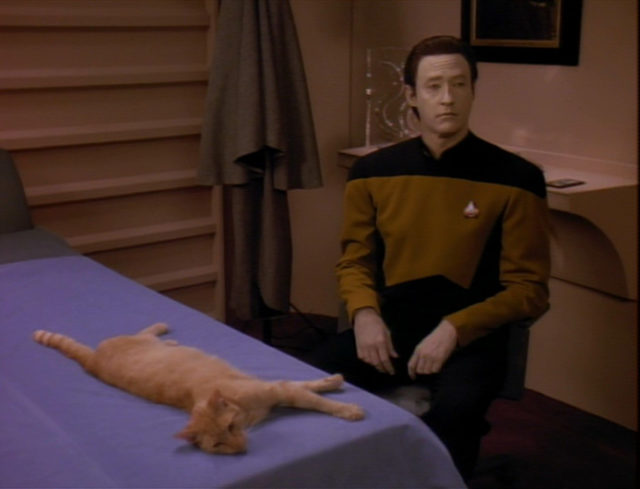 Data and Spot in Star Trek: The Next Generation